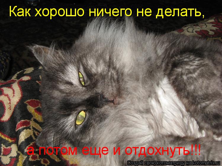 Как хорошо ничего не делать, а потом еще и отдохнуть!!!... Котоматрица: Как хорошо ничего не делать, а потом еще и отдохнуть!!!