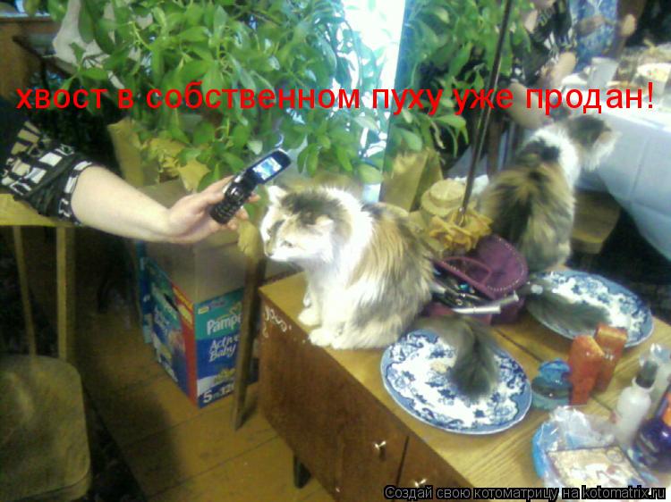 хвост в собственном пуху уже продан!... Котоматрица: хвост в собственном пуху уже продан!