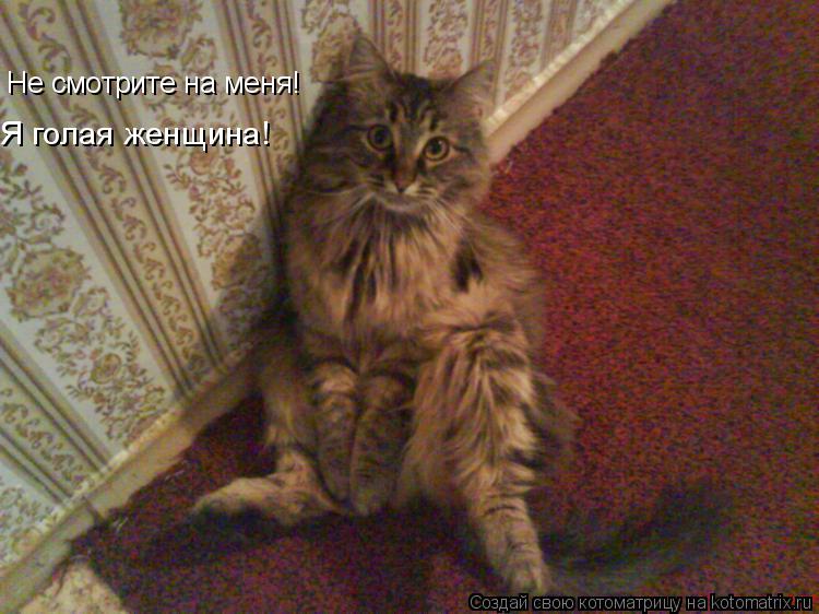 Не смотрите на меня! Я голая женщина!... Котоматрица: Не смотрите на меня! Я голая женщина!