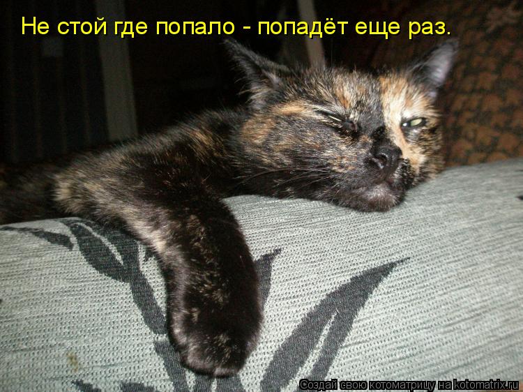 Не стой где попало - попадёт еще раз.... Котоматрица: Не стой где попало - попадёт еще раз.