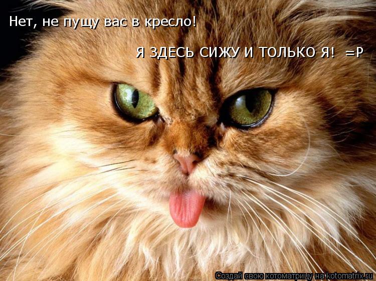 Нет, не пущу вас в кресло! Нет, не пущу вас в кресло! Я ЗДЕСЬ СИЖУ И ТОЛЬКО Я! =P... Котоматрица: Нет, не пущу вас в кресло! Нет, не пущу вас в кресло! Я ЗДЕСЬ СИЖУ И ТОЛЬКО Я! =P