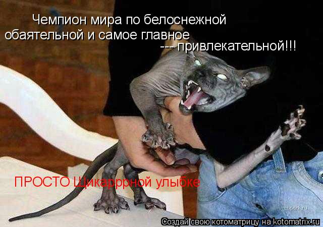Чемпион мира по белоснежной обаятельной и самое главное --- привлекательной!!! ПРОСТО Щикарррной ул... Котоматрица: Чемпион мира по белоснежной обаятельной и самое главное --- привлекательной!!! ПРОСТО Щикарррной улыбке