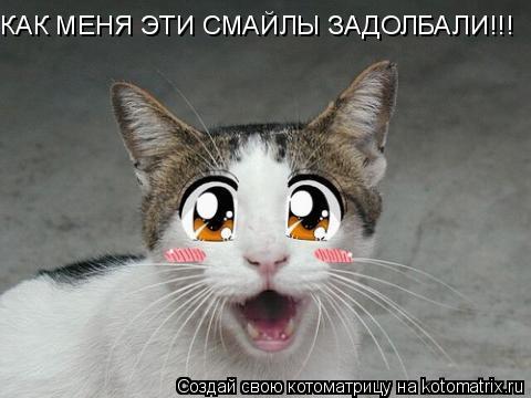 КАК МЕНЯ ЭТИ СМАЙЛЫ ЗАДОЛБАЛИ!!!... Котоматрица: КАК МЕНЯ ЭТИ СМАЙЛЫ ЗАДОЛБАЛИ!!!