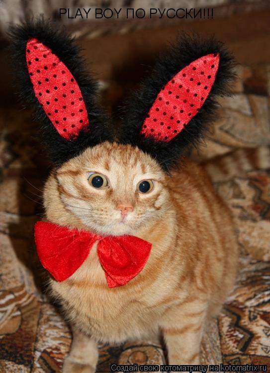 PLAY BOY ПО РУССКИ!!!... Котоматрица: PLAY BOY ПО РУССКИ!!!
