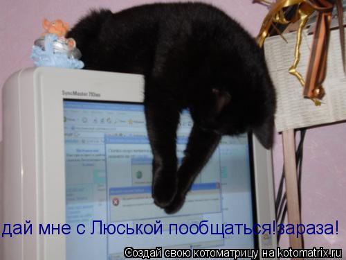 дай мне с Люськой пообщаться!зараза!... Котоматрица: дай мне с Люськой пообщаться!зараза!