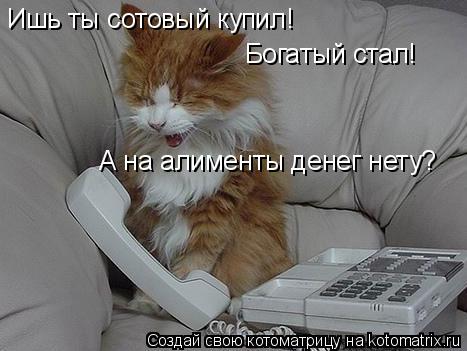 Ишь ты сотовый купил! Богатый стал! А на алименты денег нету?... Котоматрица: Ишь ты сотовый купил! Богатый стал! А на алименты денег нету?