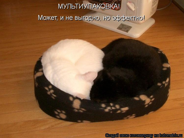 МУЛЬТИУПАКОВКА! Может, и не выгодно, но эффектно!... Котоматрица: МУЛЬТИУПАКОВКА! Может, и не выгодно, но эффектно!