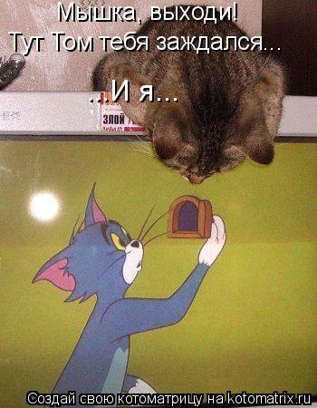 Мышка, выходи! Тут Том тебя заждался... ...И я...... Котоматрица: Мышка, выходи! Тут Том тебя заждался... ...И я...