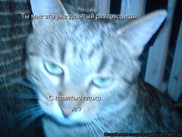 Ты мне это уже девятый раз говоришь... С памятью плохо... А ?... Котоматрица: Ты мне это уже девятый раз говоришь... С памятью плохо... А ?