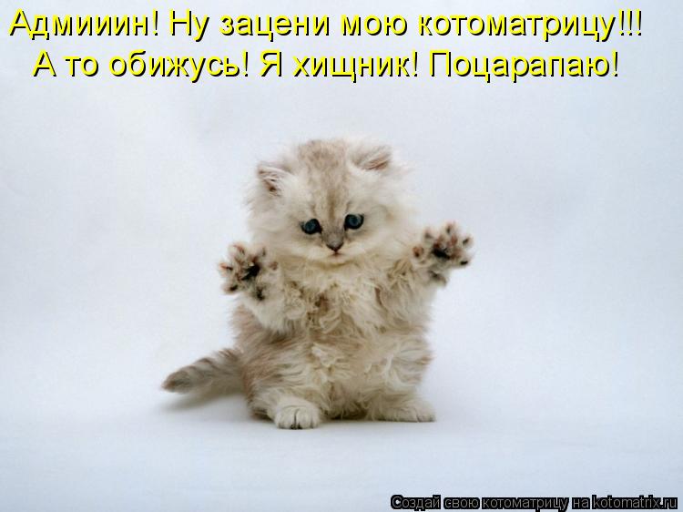 Адмииин! Ну зацени мою котоматрицу!!! А то обижусь! Я хищник! Поцарапаю!... Котоматрица: Адмииин! Ну зацени мою котоматрицу!!! А то обижусь! Я хищник! Поцарапаю!