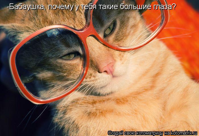 -Бабаушка, почему у тебя такие большие глаза?... Котоматрица: -Бабаушка, почему у тебя такие большие глаза?
