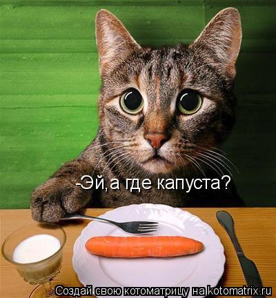 -Эй,а где капуста?... Котоматрица: -Эй,а где капуста?