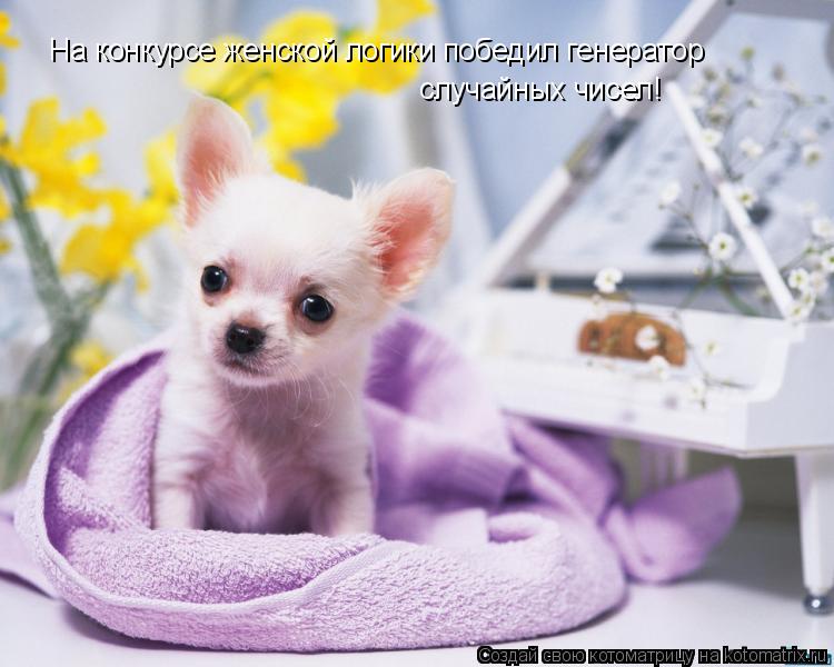 На конкурсе женской логики победил генератор случайных чисел! случайных чисел!... Котоматрица: На конкурсе женской логики победил генератор случайных чисел! случайных чисел!