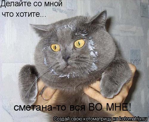 Делайте со мной что хотите... сметана-то вся ВО МНЕ!... Котоматрица: Делайте со мной что хотите... сметана-то вся ВО МНЕ!