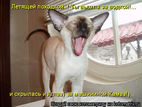 Летящей походкой..! Ты вышла за водкой!... и скрылась из глаз) за машиииной Камаз!)... Котоматрица: Летящей походкой..! Ты вышла за водкой!... и скрылась из глаз) за машиииной Камаз!)