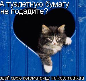 А туалетную бумагу не подадите?... Котоматрица: А туалетную бумагу не подадите?