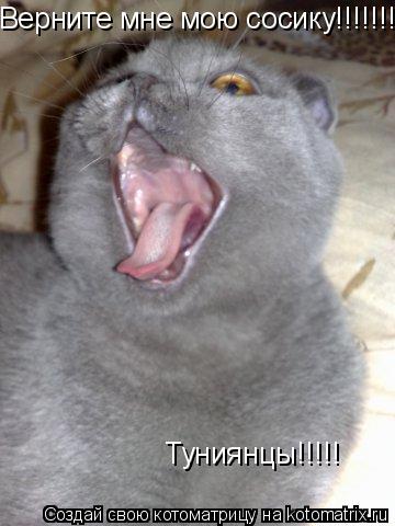 Верните мне мою сосику!!!!!!!Туниянцы!!!!! Туниянцы!!!!!... Котоматрица: Верните мне мою сосику!!!!!!!Туниянцы!!!!! Туниянцы!!!!!