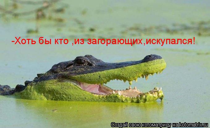 -Хоть бы кто ,из загорающих,искупался!... Котоматрица: -Хоть бы кто ,из загорающих,искупался!