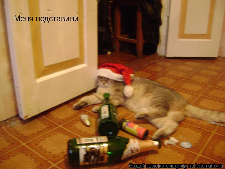 Меня подставили...... Котоматрица: Меня подставили...