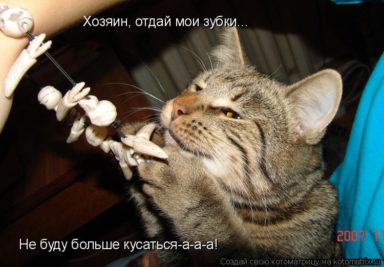 Хозяин, отдай мои зубки... Не буду больше кусаться-а-а-а!... Котоматрица: Хозяин, отдай мои зубки... Не буду больше кусаться-а-а-а!