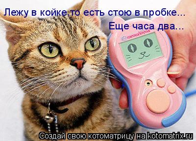 Лежу в койке,то есть стою в пробке... Еще часа два...... Котоматрица: Лежу в койке,то есть стою в пробке... Еще часа два...