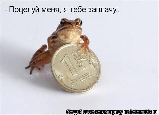- Поцелуй меня, я тебе заплачу...... Котоматрица: - Поцелуй меня, я тебе заплачу...