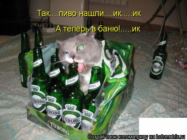 Так....пиво нашли....ик.....ик Так....пиво нашли....ик.....ик А теперь в баню!.....ик... Котоматрица: Так....пиво нашли....ик.....ик Так....пиво нашли....ик.....ик А теперь в баню!.....ик