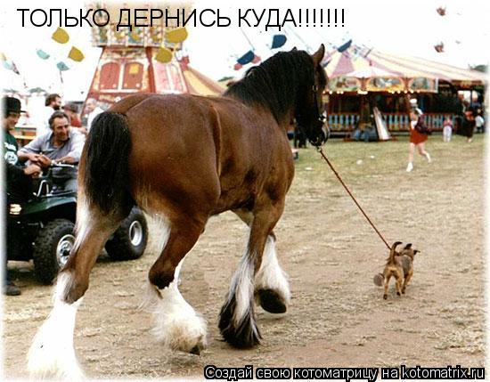 ТОЛЬКО ДЕРНИСЬ КУДА!!!!!!!... Котоматрица: ТОЛЬКО ДЕРНИСЬ КУДА!!!!!!!