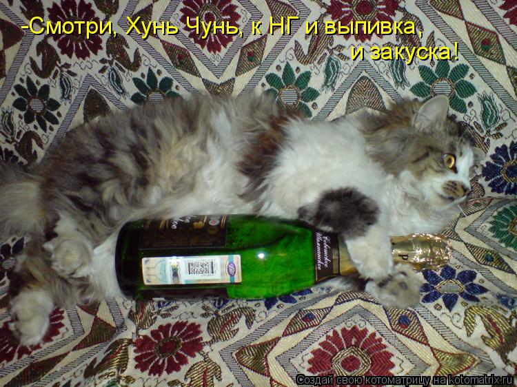 -Смотри, Хунь Чунь, к НГ и выпивка, и закуска!... Котоматрица: -Смотри, Хунь Чунь, к НГ и выпивка, и закуска!