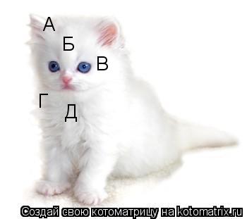 А Б В Г Д... Котоматрица: А Б В Г Д