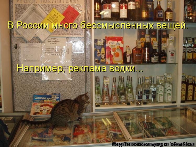 В России много бессмысленных вещей. Например, реклама водки...... Котоматрица: В России много бессмысленных вещей. Например, реклама водки...