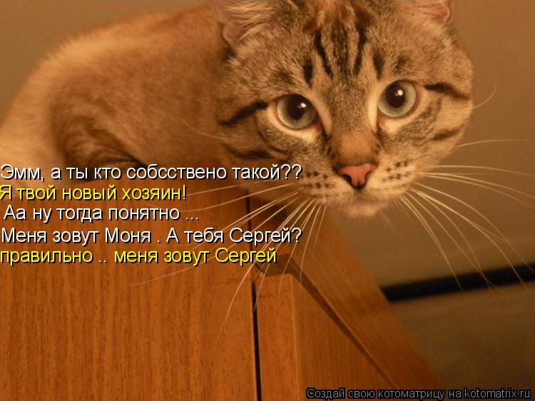 Эмм, а ты кто собсствено такой?? Я твой новый хозяин! Аа ну тогда понятно ... Меня зовут Моня . А теб... Котоматрица: Эмм, а ты кто собсствено такой?? Я твой новый хозяин! Аа ну тогда понятно ... Меня зовут Моня . А тебя Сергей? правильно .. меня зовут Сергей