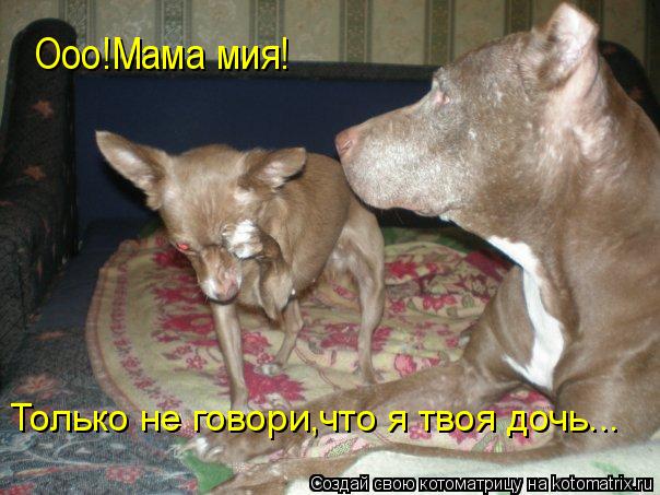 Только не говори,что я твоя дочь... Ооо!Мама мия!... Котоматрица: Только не говори,что я твоя дочь... Ооо!Мама мия!