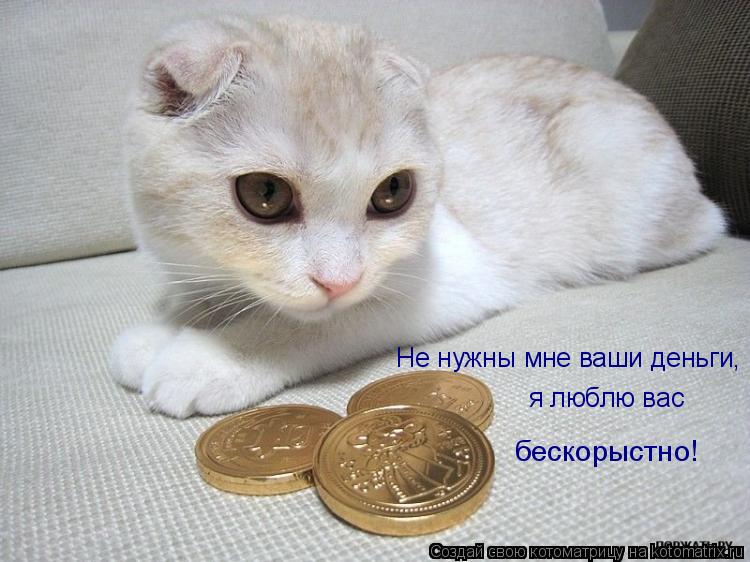 Не нужны мне ваши деньги, я люблю вас бескорыстно!... Котоматрица: Не нужны мне ваши деньги, я люблю вас бескорыстно!
