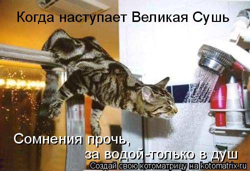 Когда наступает Великая Сушь Сомнения прочь, за водой-только в душ... Котоматрица: Когда наступает Великая Сушь Сомнения прочь, за водой-только в душ