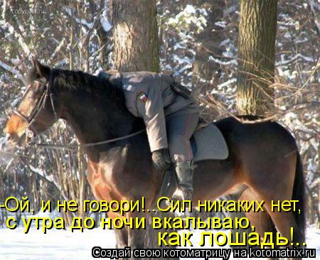 -Ой, и не говори!..Сил никаких нет, с утра до ночи вкалываю, как лошадь!..... Котоматрица: -Ой, и не говори!..Сил никаких нет, с утра до ночи вкалываю, как лошадь!..