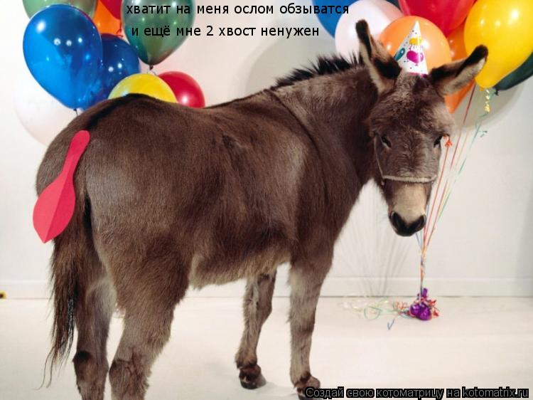 хватит на меня ослом обзыватся и ещё мне 2 хвост ненужен... Котоматрица: хватит на меня ослом обзыватся и ещё мне 2 хвост ненужен