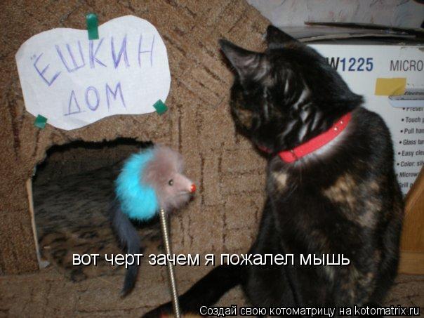вот черт зачем я пожалел мышь... Котоматрица: вот черт зачем я пожалел мышь
