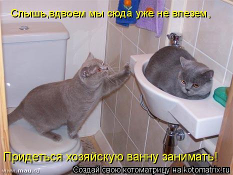 Слышь,вдвоем мы сюда уже не влезем, Придеться хозяйскую ванну занимать!... Котоматрица: Слышь,вдвоем мы сюда уже не влезем, Придеться хозяйскую ванну занимать!
