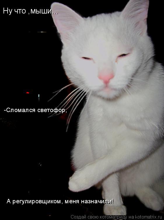 Ну что ,мыши... А регулировщиком, меня назначили! -Сломался светофор,... Котоматрица: Ну что ,мыши... А регулировщиком, меня назначили! -Сломался светофор,