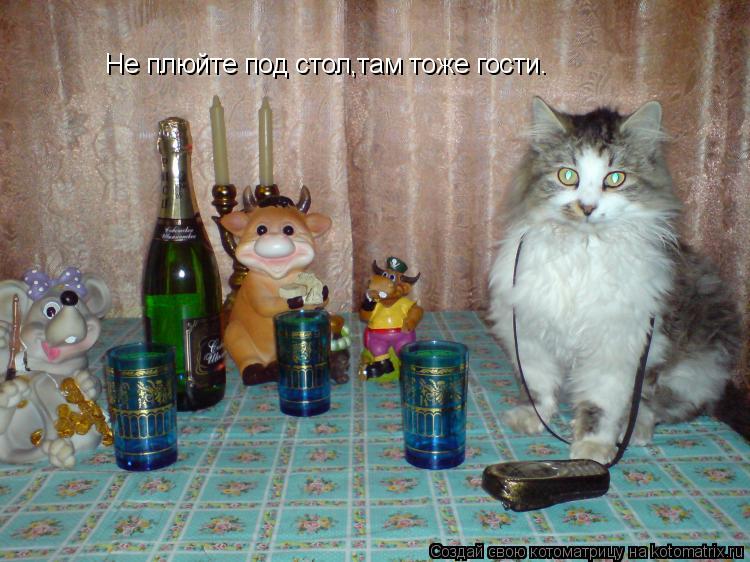 Не плюйте под стол,там тоже гости.... Котоматрица: Не плюйте под стол,там тоже гости.