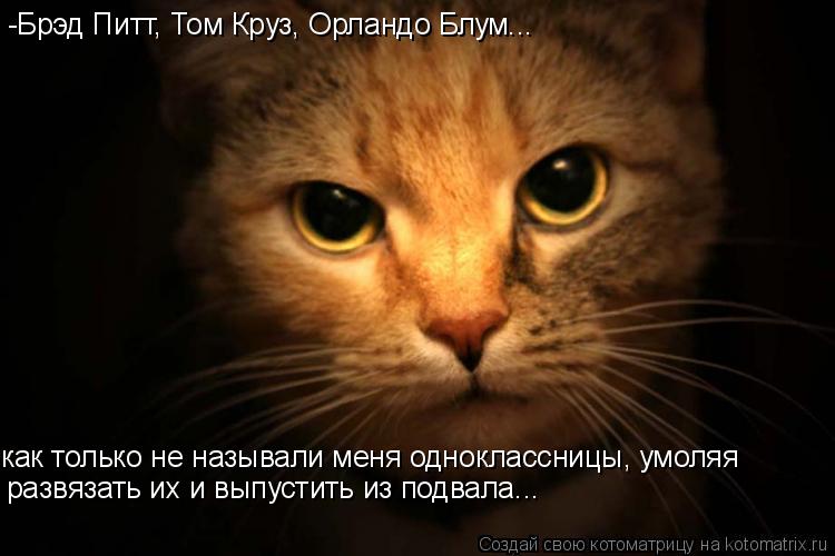 как только не называли меня одноклассницы, умоляя -Брэд Питт, Том Круз, Орландо Блум... развязать их... Котоматрица: как только не называли меня одноклассницы, умоляя -Брэд Питт, Том Круз, Орландо Блум... развязать их и выпустить из подвала...