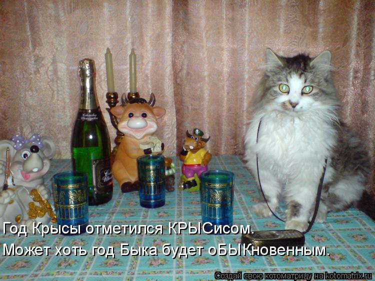 Год Крысы отметился КРЫСисом. Может хоть год Быка будет оБЫКновенным.... Котоматрица: Год Крысы отметился КРЫСисом. Может хоть год Быка будет оБЫКновенным.