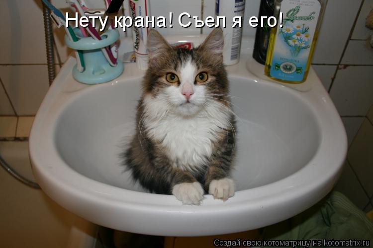 Нету крана! Съел я его!... Котоматрица: Нету крана! Съел я его!