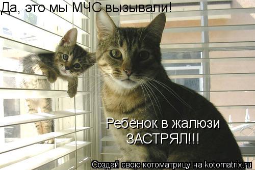 Да, это мы МЧС вызывали! Ребёнок в жалюзи ЗАСТРЯЛ!!!... Котоматрица: Да, это мы МЧС вызывали! Ребёнок в жалюзи ЗАСТРЯЛ!!!