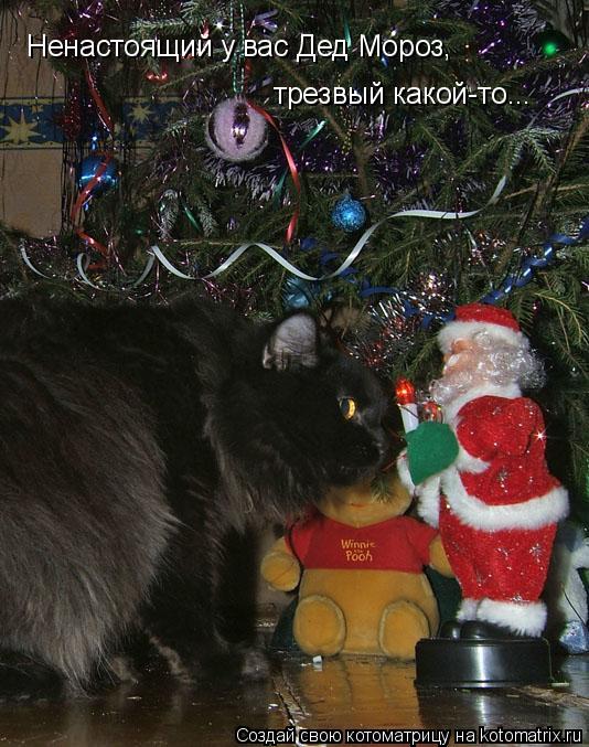 Ненастоящий у вас Дед Мороз, трезвый какой-то...... Котоматрица: Ненастоящий у вас Дед Мороз, трезвый какой-то...