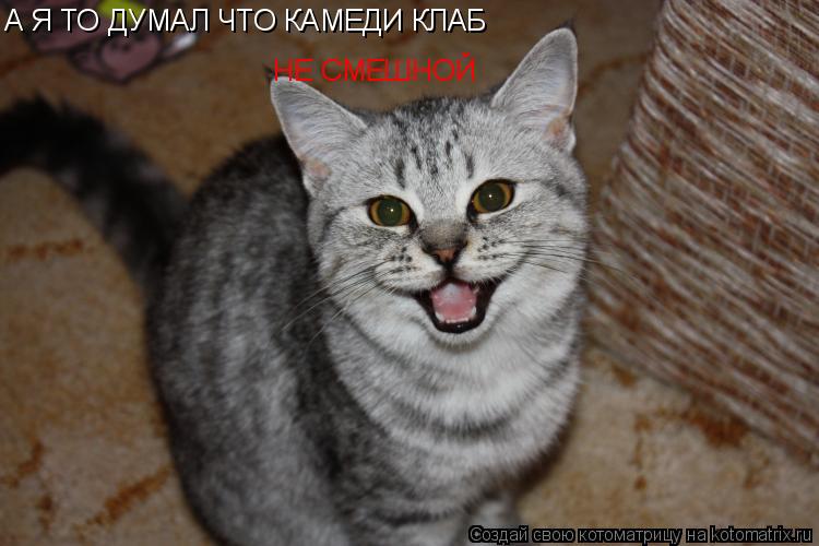 А Я ТО ДУМАЛ ЧТО КАМЕДИ КЛАБ НЕ СМЕШНОЙ... Котоматрица: А Я ТО ДУМАЛ ЧТО КАМЕДИ КЛАБ НЕ СМЕШНОЙ
