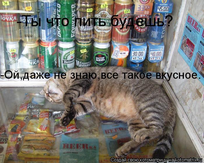 -Ты что пить будешь? -Ой,даже не знаю,все такое вкусное.... Котоматрица: -Ты что пить будешь? -Ой,даже не знаю,все такое вкусное.
