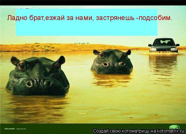 Ладно брат,езжай за нами, застрянешь -подсобим.... Котоматрица: Ладно брат,езжай за нами, застрянешь -подсобим.