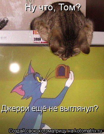 Ну что, Том? Джерри ещё не выглянул?... Котоматрица: Ну что, Том? Джерри ещё не выглянул?